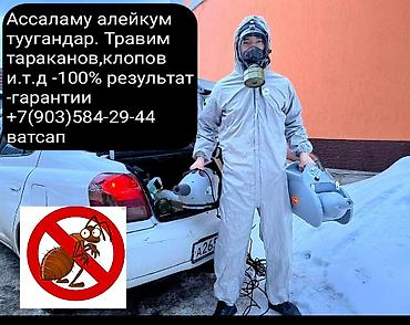 стирка ковров токмок: Дезинфекция, дезинсекция, | Клопы, Блохи, Тараканы, | Транспорт, Офисы, Квартиры — 5