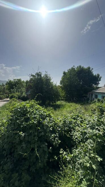 Продажа квартир: 4 соток, Красная книга