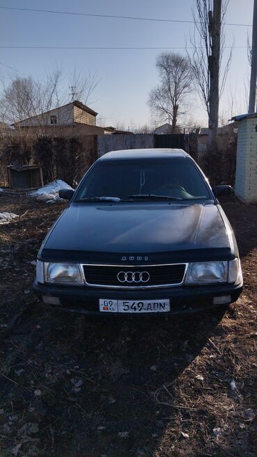 audi универсал: Audi 100: 1991 г., 2.3 л, Механика, Бензин, Седан