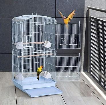 Digər quşlar: ✨ Hazır sarı e lquşlarıdanişdirmaq tam rahat olurr satışda! 🐦✨ Parlaq — 8