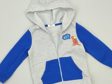 niebieski sweterek dla niemowlaka: Sweatshirt, 12-18 months, condition - Very good