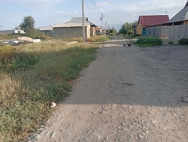 кызыл ата: 4 соток — 5