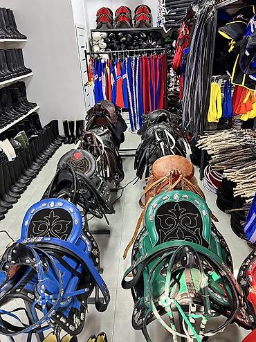 Другие животные: Ат жабдыктар — 6