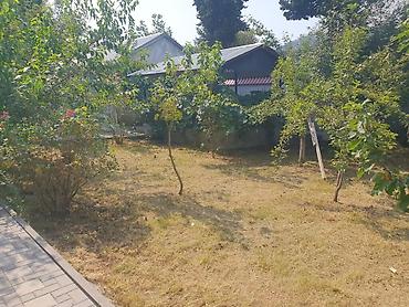 mərdəkanda villa: İsmayıllı rayon, Günəşli qəsəbəsində təcili həyətyanı ev satılır — 8