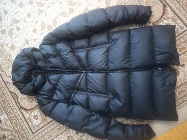 Kurtkalar: Ideal veziyyetdedi mragalnmaq isteyen wpya yaza biler