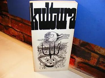 a6 format: ČASOPIS ZA TEORIJU I SOCIOLOGIJU KULTURE I KULTURNU POLITIKUBroj 53 — 1