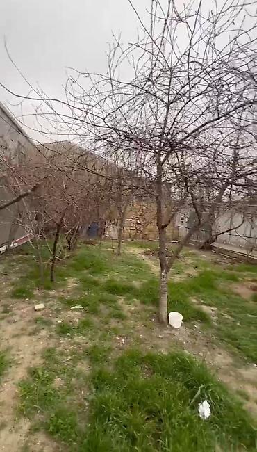 Həyət evləri və villaların satışı: 👉TƏCİLİ SATILIR 👈‼️ 👉SƏNƏD BƏLƏDİYYƏ👈 ‼️ Binəqədi qəsəbəsi, MARŞRUT — 16