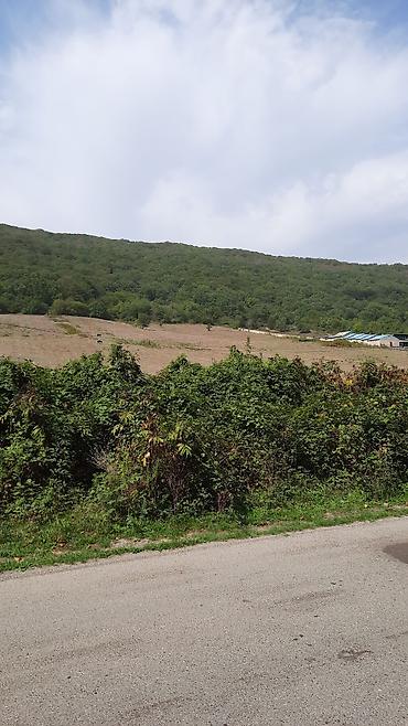 quba amsar: 100 sot, Mülkiyyətçi, Kupça (Çıxarış) — 2