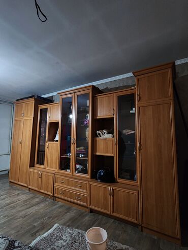 швея мебель: Кийим салуучу шкаф, Колдонулган, Түз, Жыгач