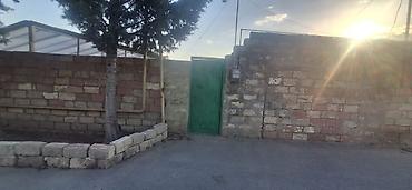 Kənd təsərrüfatı lalafo.az -da Kənd təsərrüfatı