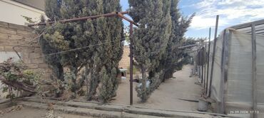 Həyət evləri və villaların satışı: 12 otaq, 310 kv. m, Kredit var, Təmirsiz -da lalafo.az — 16 Həyət evləri və villaların satışı: 12 otaq, 310 kv. m, Kredit var, Təmirsiz — 16