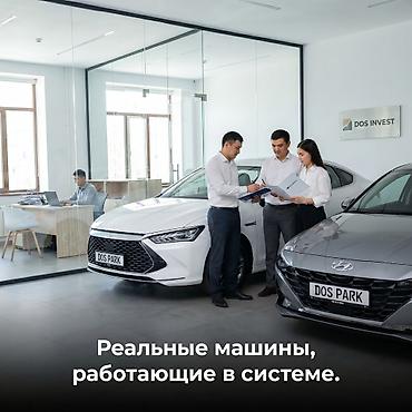 Готовый бизнес: DOS INVEST — управление вашим автомобилем как активом - Запускаем — 9