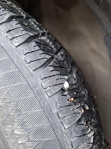 Subaru: Subaru Forester: 2006 г., 2.5 л, Автомат, Газ, Универсал — 9