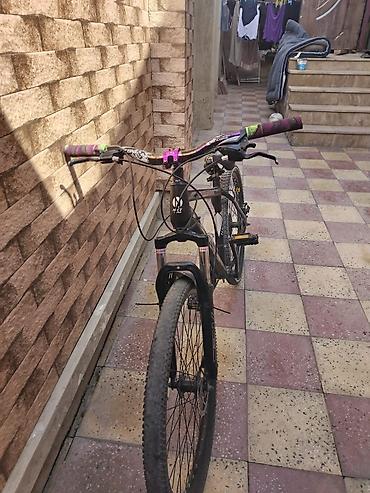 Dağ velosipedləri: MTB velosiped – RIXY (26") REAL ALICIYA ENDİRİM OLACAQ - Çərçivə — 1
