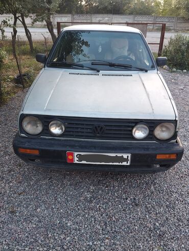 гольф обмен: Volkswagen Golf: 1990 г., 1.8 л, Автомат, Бензин