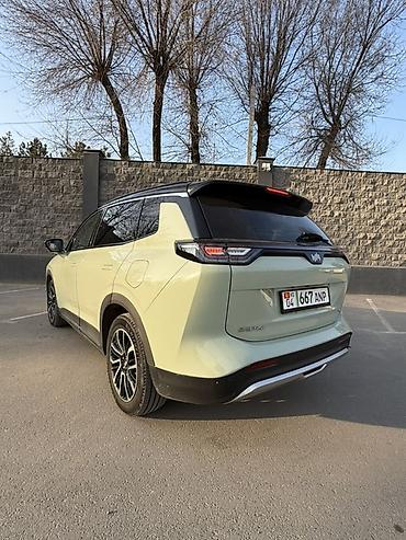 Weltmeister: Weltmeister W6, 2022 г. — 8