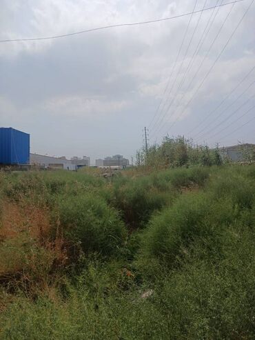 Torpaq sahələrinin satışı: 10 sot, Tikinti, Bələdiyyə — 8