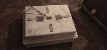 купить домик для кошки недорого: Сатылат ушул номерге байланышкыла