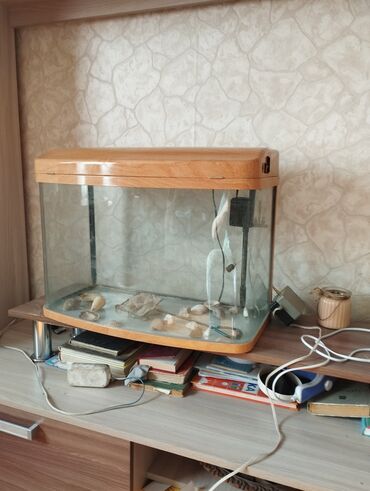 в какой приют можно отдать собаку: Продам аквариум с подсветкой, компрессором, насосом
 30 л