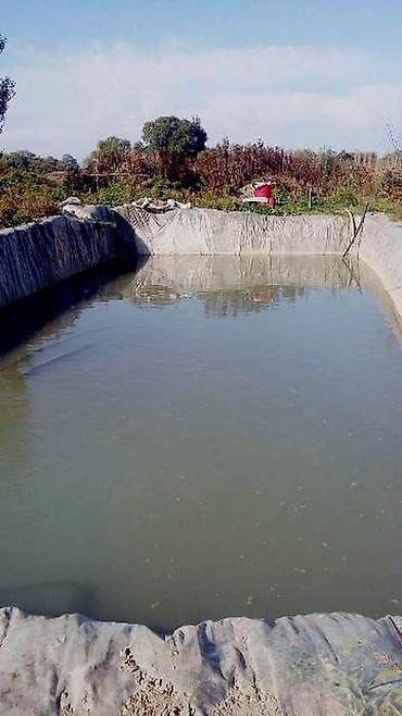 anbar satışı: 180 sot, Kənd təsərrüfatı, Kupça (Çıxarış) — 9