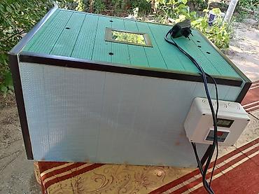 Kənd təssərüfatı avadanlığı: Yumurta inkubatoru - Elektron termostat və rəqəmsal temperatur — 2
