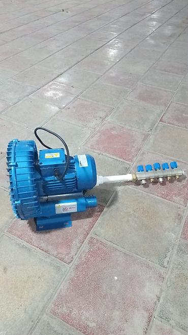 qida məhsullarının topdan satışı: Sənaye hava kompressoru/air blower – çox çıxışlı paylayıcı ilə Son — 1