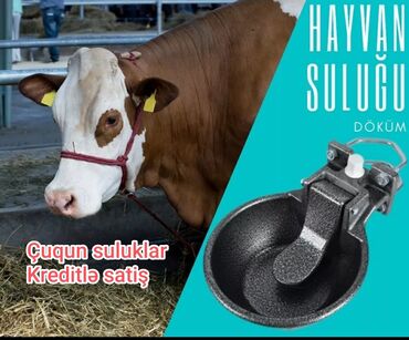 Qidalandırıcılar: Yem qabı, Su üçün, Heyvanlar üçün, Ünvandan götürmə, Pulsuz çatdırılma, Ödənişli çatdırılma