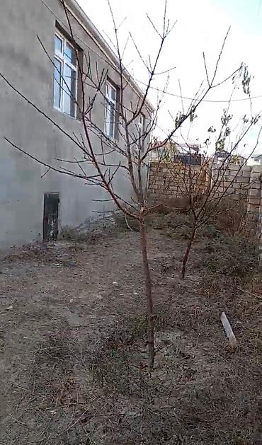 Дома: Нижний Гюздяк 3 комнаты, 100 м², Средний ремонт — 3