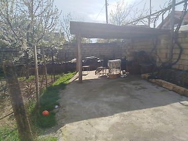 ev elanlari 2022: 2 sot, Tikinti, Mülkiyyətçi, Kupça (Çıxarış) — 10
