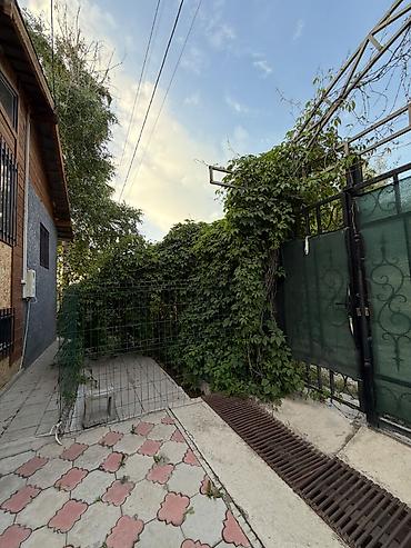 Продажа коттеджей и домов: 3 комнаты, 180 м², 5 соток, Арашан — 11