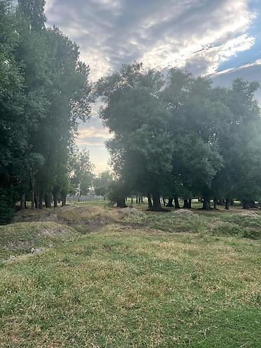 Долгосрочная аренда домов: 200 м², 5 комнат, Утепленный, Евроремонт, Кондиционер — 8