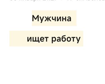 Другие специальности: Мужчина имеющий высшее техническое образование-Фрунзенский