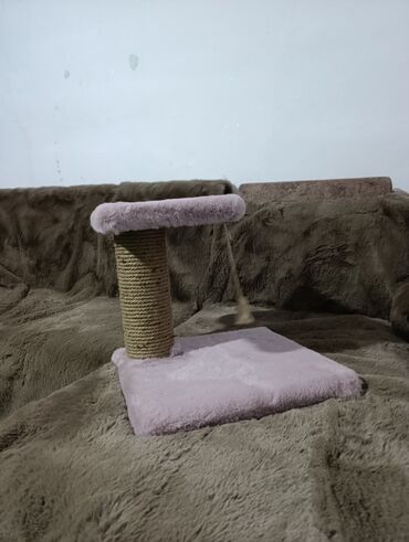 котенок в добрые руки: Продается когтеточка новая!!! идеально подойдёт как котёнку,так и