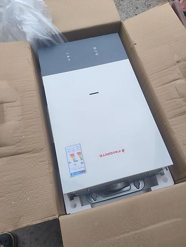 умный котёл: Газовый котёл FAVORITE L1P24-H - Тип газа: природный (12T) - Рабочее — 1