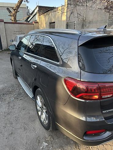 555: Kia Sorento: 2019 г., 2 л, Автомат, Дизель, Кроссовер — 6