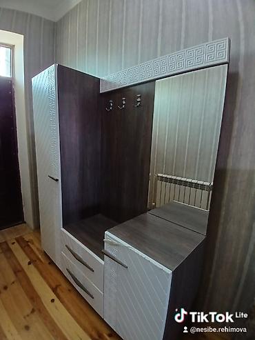Dəhliz dolabları: Dəhliz üçün funksional mebel dəsti - Tərkib: güzgülü paltar asqısı — 1