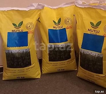 bugda toxumu: Bilənsoy Yonca toxumu – “Mutlu Tohum” qablaşdırması Aqrobioloji — 1