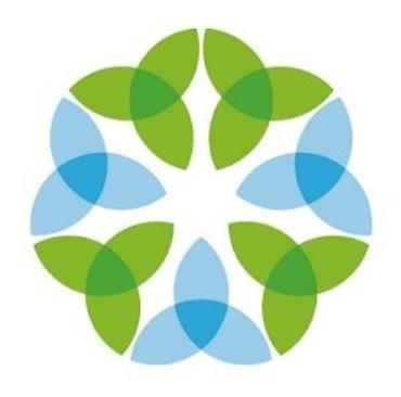 Тармактык маркетинг: Продаю два партнёрских кабинета Greenleaf в одной ветке. В одной ветке — 1