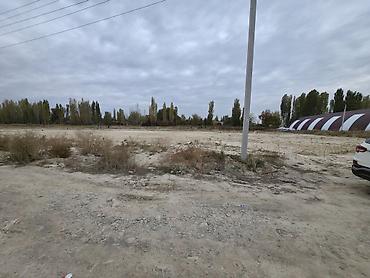комната в бишкеке: 100 соток, Для бизнеса, Красная книга, Договор купли-продажи — 3