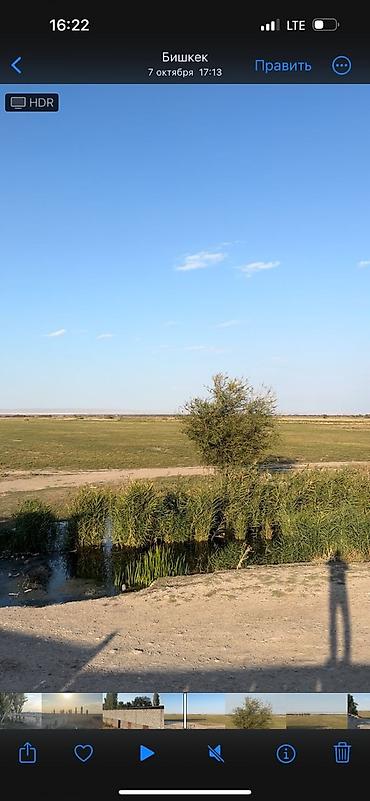 оптовый товар: Farm КРС, 97 соток, Действующий, Частично с оборудованием, Электричество, Скважина — 10