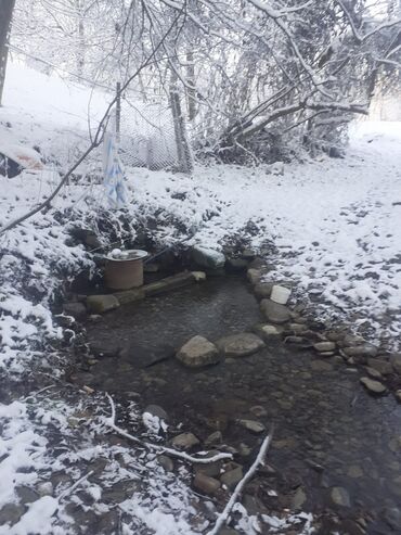 Landşaft işləri: Kupcalı 41 sot torpaq 20 sotda satilir — 8