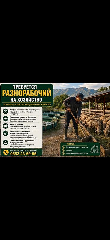 Требуется разнорабочий на хозяйство. Зарплата 30-40 тысяч сом Село