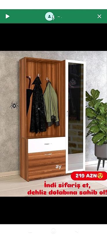 Ev üçün mebel: Dehliz dolabi — 1