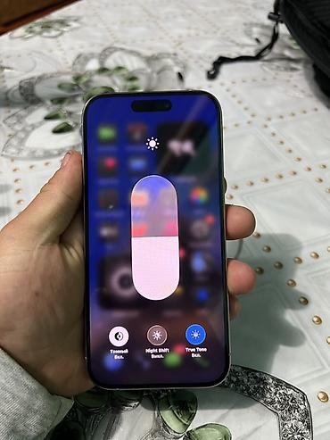 stalker 2: IPhone 15 Pro (Titanium) - Цвет: светлый титановый - Корпус — 6