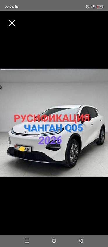 яндекс модуль: Русификация авто, Китай, BYD — 1