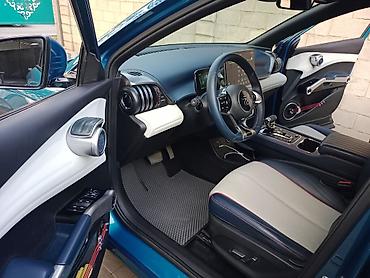 byd e2 2019: BYD Yuan Plus: 2022 г., Электромобиль — 10