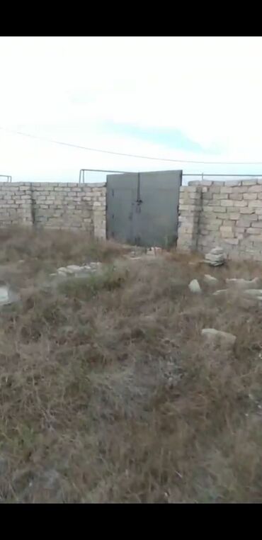 zaqatalada satilan torpaqlar: 20 sot, Kupça (Çıxarış)