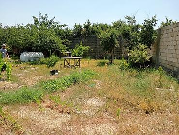 qusarda yer satilir: 6 sot, Tikinti, Makler, Kupça (Çıxarış) — 4