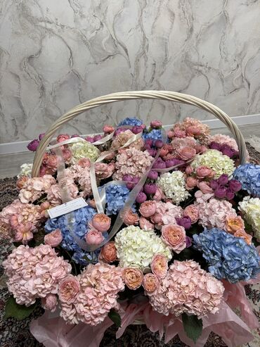 гортензии цена бишкек: Цветы которые стоят 40 тыс