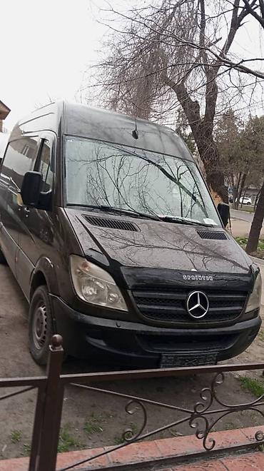 купить катамаран: Mercedes-Benz Sprinter (длинная база, высокий крыша) — — 3